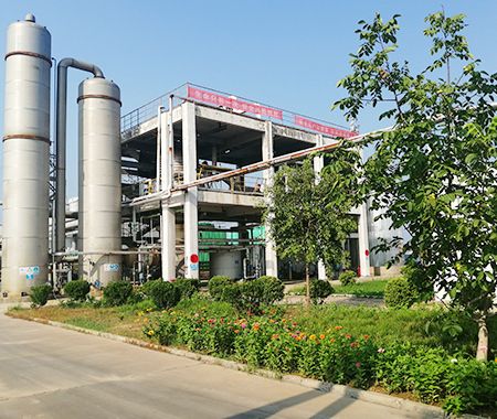 熱烈慶祝公司網(wǎng)站火爆上線